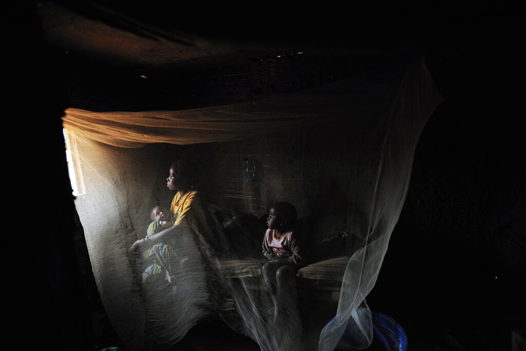 Lynsey Addario