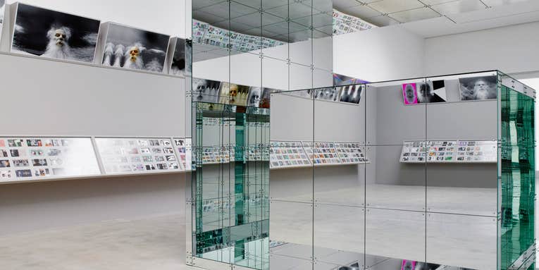 This Is How You Install 720 Photographs In One White Cube Gallery