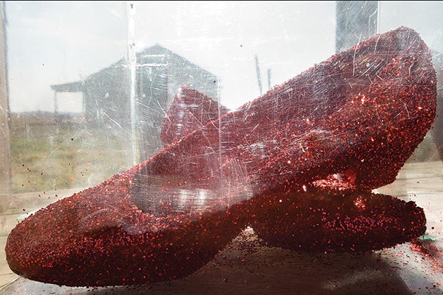 Dorothy's ruby slippers, Lehi, Arkansas, 2010