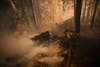 A firefighter battles a blaze near Greenville, California. The fire has forced evacuations and burned over 47,000 acres in Northern California. Max Whittaker is a freelance photojournalist shooting for Reuters. See more of his work on his <a href="http://www.maxwhittaker.com/">personal site</a>.