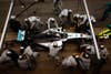 Mercedes driver Lewis Hamilton of Britain gets a pit service during the Spain Formula One Grand Prix at the Barcelona Catalunya racetrack in Montmelo, near Barcelona, Spain on Sunday, May 11, 2014. Emilio Morenatti is an AP staffer and one of the most resilient photojournalists out there. In 2010, he was badly injured by a roadside bomb. He ultimately lost his left foot due to the injuries, but is now back in action making great work. See more of his work <a href="http://www.americanphotomag.com/photo-gallery/2014/03/photojournalism-month-february-2014?page=11">here</a>.