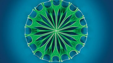 Sam Kaplan’s Mesmerizing Patterns