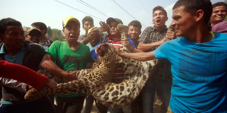 Photojournalism of the Week: April 12, 2013 Photojournalism of the Week: April 12, 2013