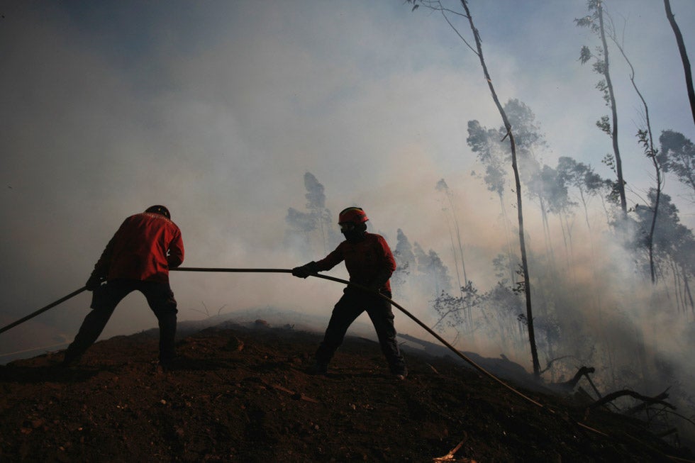 Firefighters attempt to extinguish a blaze burning in Alvaiazere, Portugal. Rafael Marchante is a Portugal-based Reuters staffer.