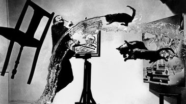 dali with cats and water