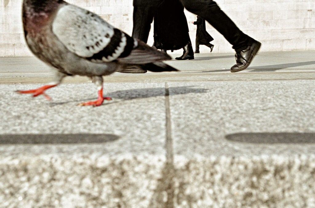 Â© Matt Stuart / Magnum Photos