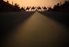 India's Border Security Force soldiers ride their camels in front of India's presidential palace Rashtrapati Bhavan during a rehearsal for the "Beating the Retreat" ceremony in New Delhi. Adnan Abidi is a Reuters staffer who has been with the agency for seven years. He is currently based in New Delhi. See more of his work in our past <a href="https://www.americanphotomag.com/photo-gallery/2012/09/photojournalism-week-september-14-2012?page=1">round-up</a>.