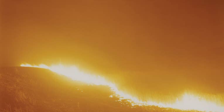 On the Wall: Into the Wild with Rinko Kawauchi On the Wall: Into the Wild with Rinko Kawauchi