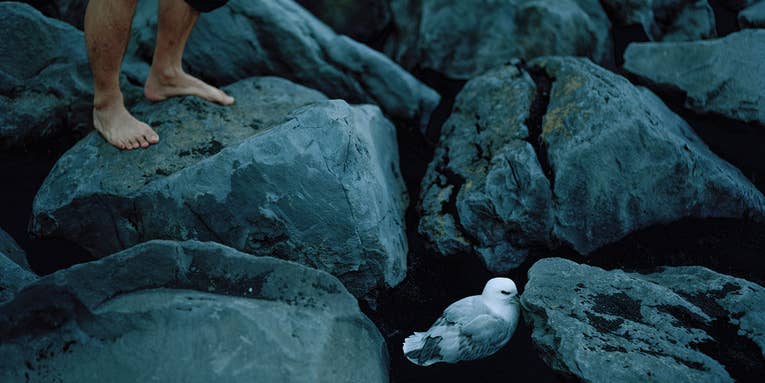 Acacia Johnson Finds Magic Light Inside the Arctic Circle