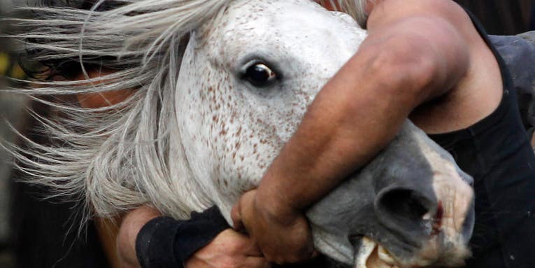 Photojournalism of the Week: July 13, 2012