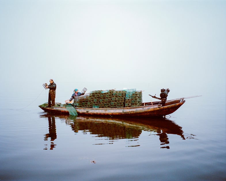 Although poems and stories about Lake Hong’s purity are enshrined in Chinese cultural history, it has been damaged by unsustainable ﬁshing practices. Over the past 14 years, WWF, its partners, local communities and government have helped to restore the lake, demonstrating how sustainable ﬁshing methods can result in healthy ﬁsh, reduced pollution and clean water. © Mustafah Abdulaziz/ WWF-UK Mustafah Abdulaziz is an American documentary photographer based in Berlin. His on-going project ‘Water’ has received support from the United Nations and VSCO. In 2012, he was named one of PDN’s 30 Emerging Photographers to Watch, and is the winner of the Syngenta photography award, 2015. Mustafah is working with WWF, WaterAid and Earthwatch to document images and stories highlighting the global water crisis. These powerful images form the Water Stories photographic exhibition supported by the HSBC Water Programme. The exhibition will open in New York to coincide with Photoville, 21 September 2016, and will be on public display by the East River in DUMBO throughout October. The exhibition adds previously unexhibited images from Mustafah's shoot in New York this summer. Water Stories first launched in Stockholm to coincide with the 25th anniversary of World Water Week and Stockholms Kulturfestival in August 2015, and was also shown in London to mark UN World Water Day, in March 2016. CHINA China is predicted to become the world’s largest economy, and the pressure that its rapidly expanding industry puts on the natural environment is expected to grow, too. As China develops, and as its overseas investments lead to increasing impacts in other countries, its choices will be pivotal for the future of our planet. It is possible that development in this vast country could result in China becoming a global leader in renewable energy and clean technology. The situation across the vast Yangtze River basin is a prime example of China at a crossroads. The 1.8 mi