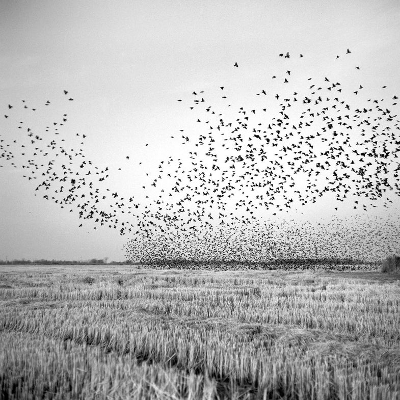 Brandon Thibodeaux in the Mississippi Delta