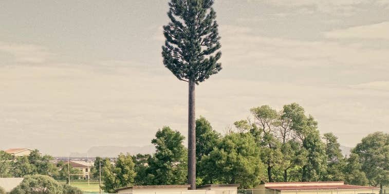That’s No Tree, It’s a Tower