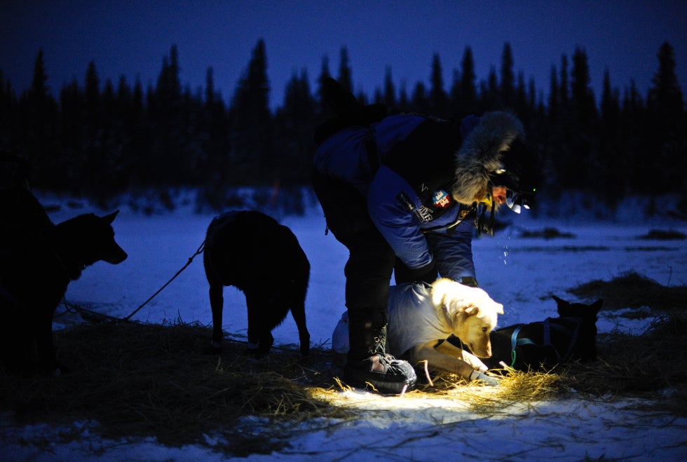 Marc Lester, a staff photographer for the <em>Anchorage Daily News</em>, photographed four-time Iditarod champion Martin Buser preparing his team at a checkpoint. Lester has been a photographer for the <em>Anchorage Daily News</em> since 2009. Keep up with Marc's daily photo adventures by following his <a href="https://twitter.com/#!/marclesterphoto">Twitter</a>. You can also see more of his work <a href="http://www.marclesterphoto.com/">here</a>.