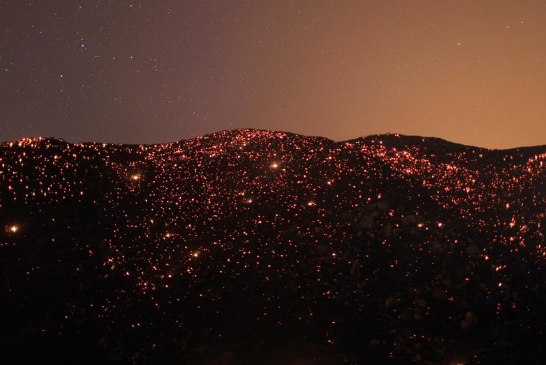 A smouldering mountainside is seen under the stars at the Silver Fire near Banning, California August 7, 2013. The fire broke out shortly after 2 p.m. near a back-country road south of Banning, about 90 miles (145 km) outside Los Angeles in Riverside County, and within hours had blackened more than 5,000 acres, California Department of Forestry and Fire Protection spokesman Daniel Berlandt said. REUTERS/David McNew (UNITED STATES - Tags: DISASTER TPX IMAGES OF THE DAY) - RTX12DJX