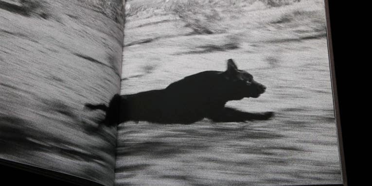 Photobook Collecting in the Age of the Thousand-Dollar Zine Photobook Collecting in the Age of the Thousand-Dollar Zine