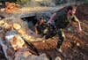 Free Syrian Army members, under the name of Farouq Brigades, run during combat training at Sarmada near Idlib province of Syria.