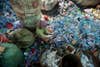 Sorting plastic drinks bottles; white caps are put into one bucket, color caps into another, grey, blue and clear bottles are put into different containers, and the plastic wrappers to one side; everything has its place. From the series <em>Smokey Mountain and Recycling Phnom Penh</em>, 2007-2010.