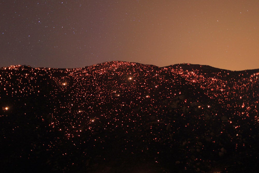 A smouldering mountainside is seen under the stars at the Silver Fire near Banning, California August 7, 2013. The fire broke out shortly after 2 p.m. near a back-country road south of Banning, about 90 miles (145 km) outside Los Angeles in Riverside County, and within hours had blackened more than 5,000 acres, California Department of Forestry and Fire Protection spokesman Daniel Berlandt said.  REUTERS/David McNew  (UNITED STATES - Tags: DISASTER TPX IMAGES OF THE DAY) - RTX12DJX