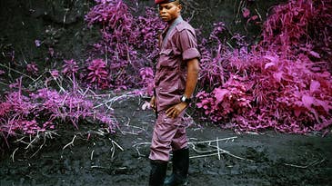 Richard Mosse’s Hypercolor Congo, Now in a Short Film