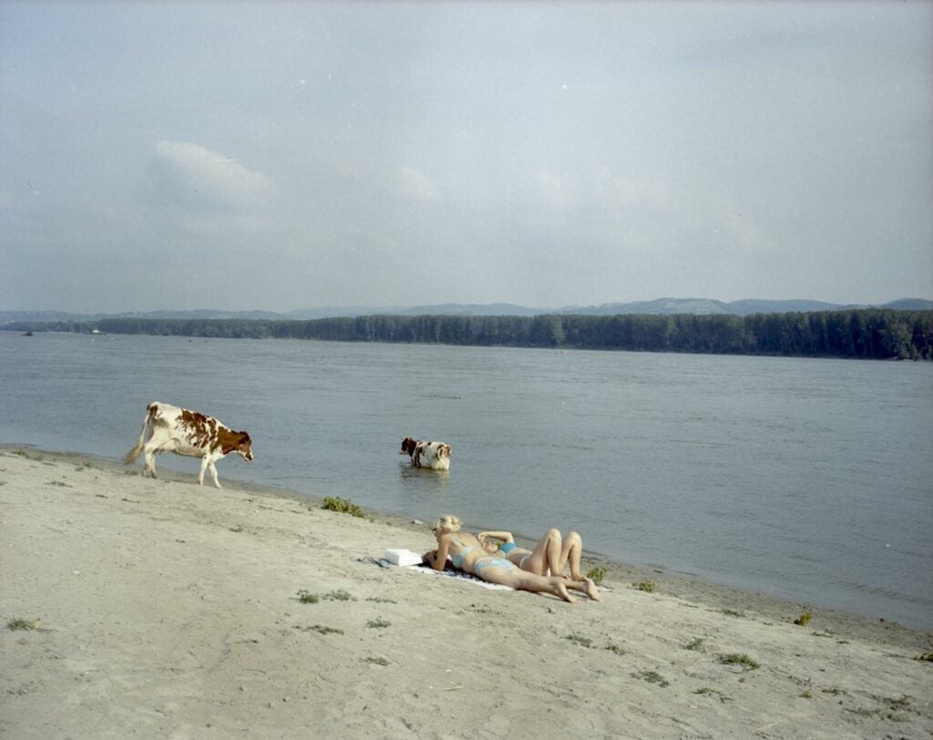 © Lurdes R. Basolí