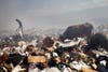 Haitians scavenge for recyclables and other usable household items at a dump on the outskirts of Port-au-Prince. The number of daily scavengers at the dump has jumped 10 fold since the earthquake. Spencer Platt is a New York City-based Getty staffer, who has been with the agency since 2001. He was featured prominently in our recent <a href="http://www.americanphotomag.com/article/2012/09/911-photographers-stories-part-1%E2%80%94get-down-here-now">photographers' oral history of September 11</a>, and in 2006 he received a World Press Photo of the Year Award for an <a href="http://www.pdnphotooftheday.com/2010/01/3137">image he shot in Beirut</a>.