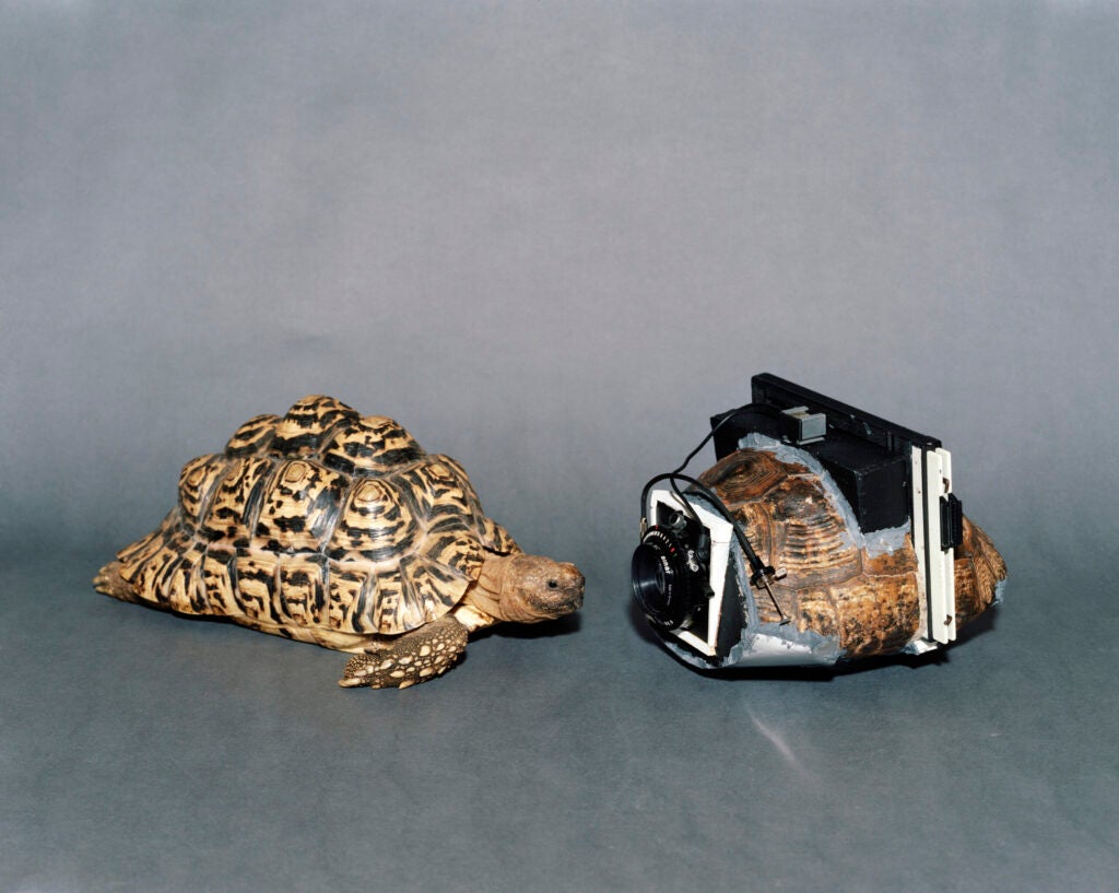 From _As Long As It Photographs It Must Be A Camera_