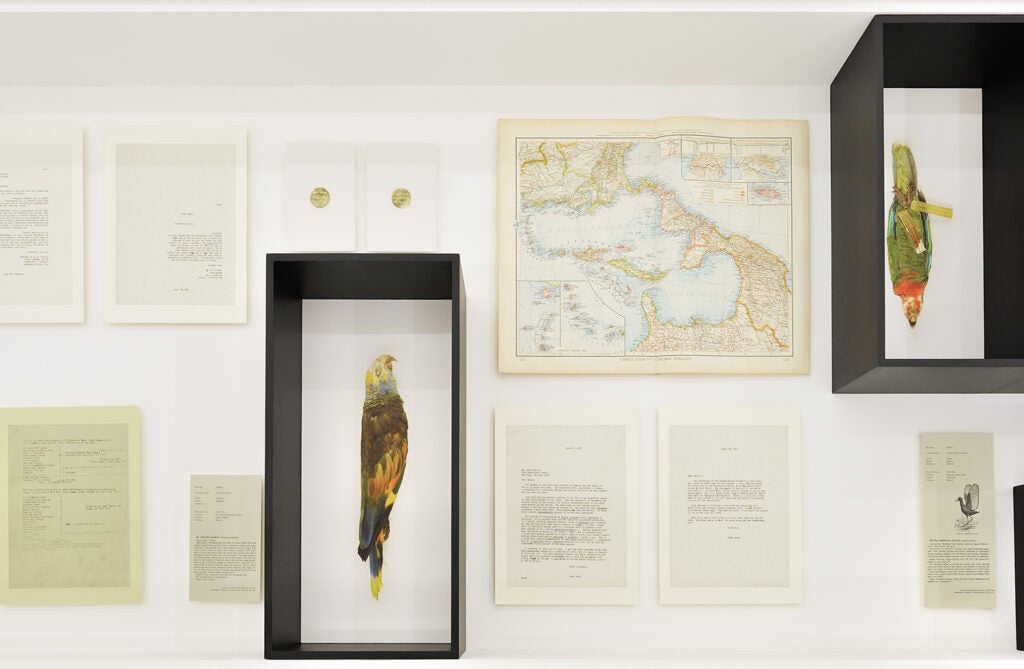 In typical Taryn Simon fashion, the conceptual photographer moves the viewer through the museum space in an intriguing form of classification and contemporary cataloguing. Her photographs are at once a tribute to James Bond ephemera and iconography and a West Indies native bird taxonomy depicting all of the birds featured in the 24 007 films. It’s also a nod to James Bond, the ornithologist who studied birds of the West Indies, and whose name was inspiration for Ian Fleming’s main character in his novels.