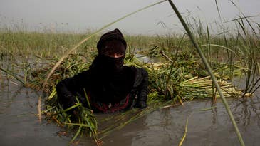 Outtakes: Carolyn Drake’s Unpublished Iraqi Marsh Arabs Assignment for Nat Geo