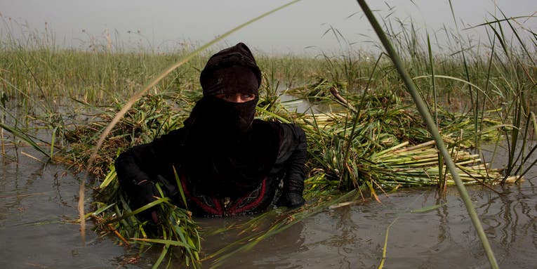 Outtakes: Carolyn Drake’s Unpublished Iraqi Marsh Arabs Assignment for Nat Geo