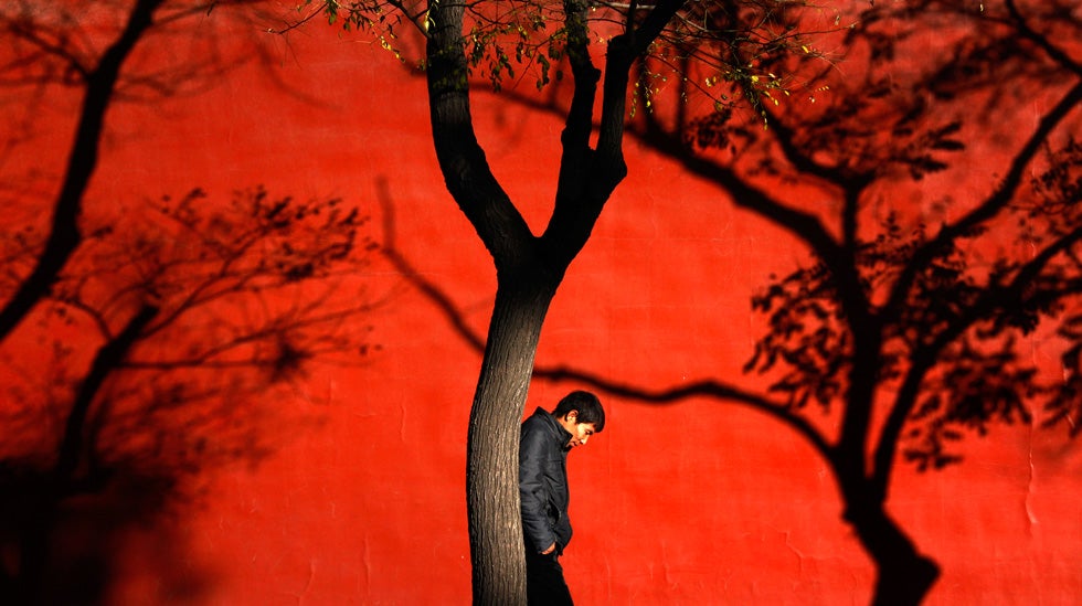 Shadows of trees are cast onto a wall of the Forbidden City as a man walks past on a cold, sunny day in Beijing. David Gray is a Reuters staffer based in Beijing. Keep up to date with his assignments by checking out his <a href="http://blogs.reuters.com/david-gray/">blog</a>.