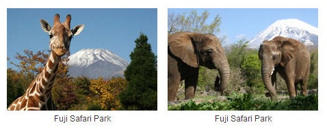 [Promotional images of Fuji Safari Park](http://www.yokoso-japan.jp/en/39396.html)