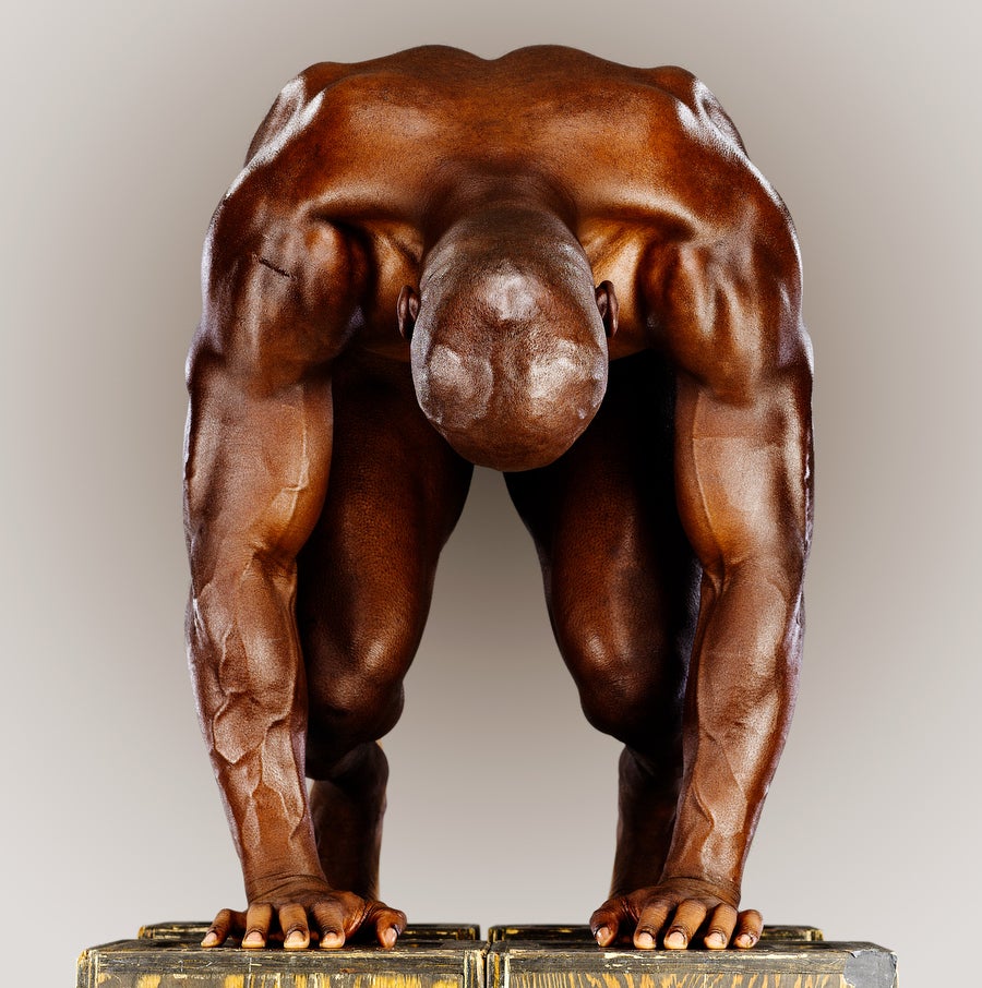 Interview: The Versatile Work of Howard Schatz