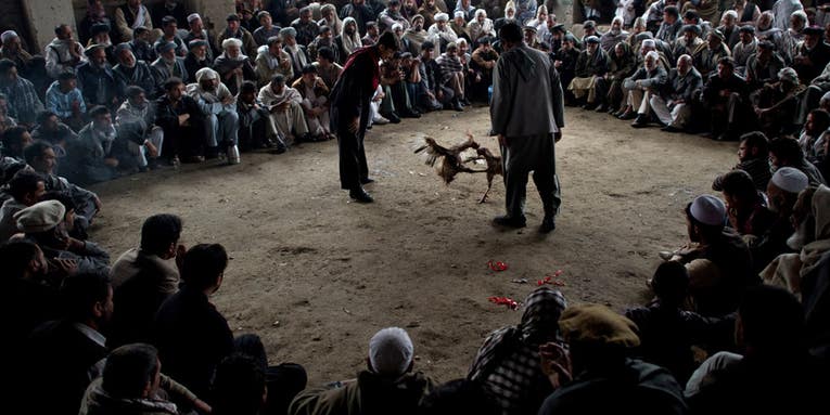 Photojournalism of the Week: May 4, 2012