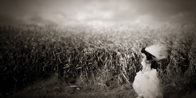 Ron Antonelli: Best Wedding Photographers 2012