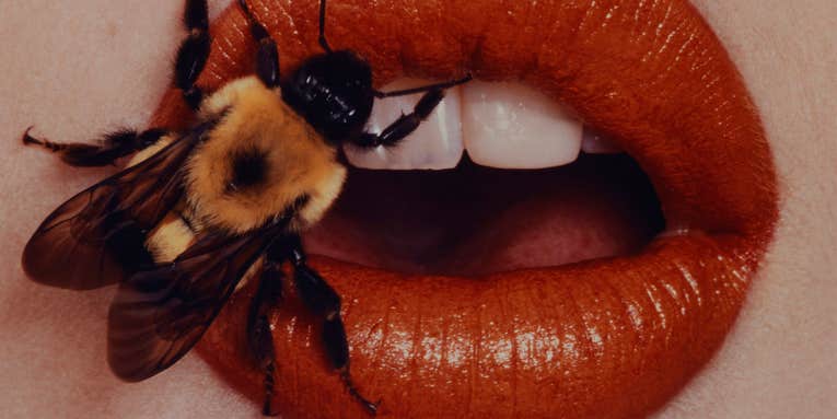 The 10 Best New Photo Exhibits: Spring 2016 The 10 Best New Photo Exhibits: Spring 2016