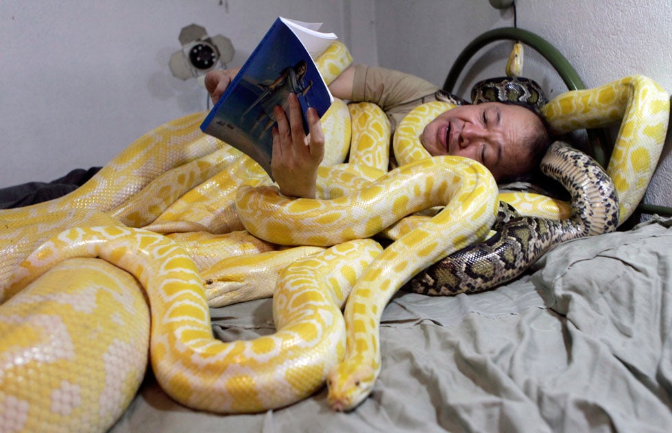 Zoo owner Emmanuel Tangco reads a book to his snakes in his bedroom in Malabon, the Philippines. Erik de Castro is Reuters' Chief Photographer in the Philipines; he has been with the organization since 1985. Before taking on his current roll he was embedded on several different occasions in both Iraq and Afghanistan. See more of his work <a href="http://blogs.reuters.com/erik-decastro/">here</a>.