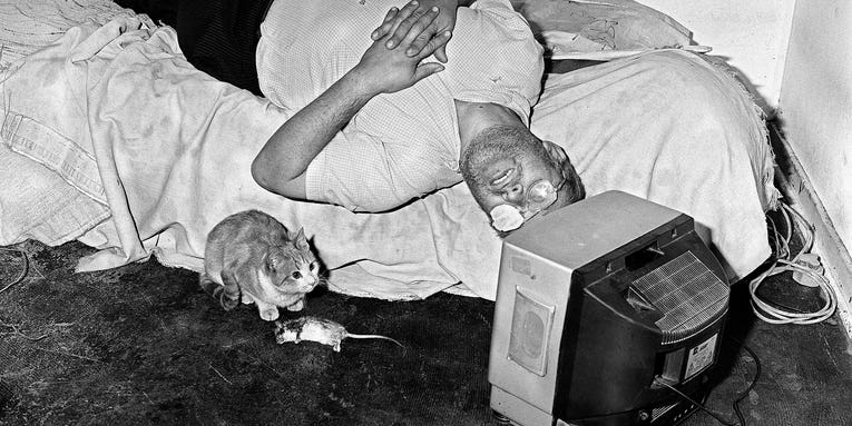 Roger Ballen’s The House Project Takes a Deep Dive Into the Photographer’s Mind Roger Ballen’s The House Project Takes a Deep Dive Into the Photographer’s Mind