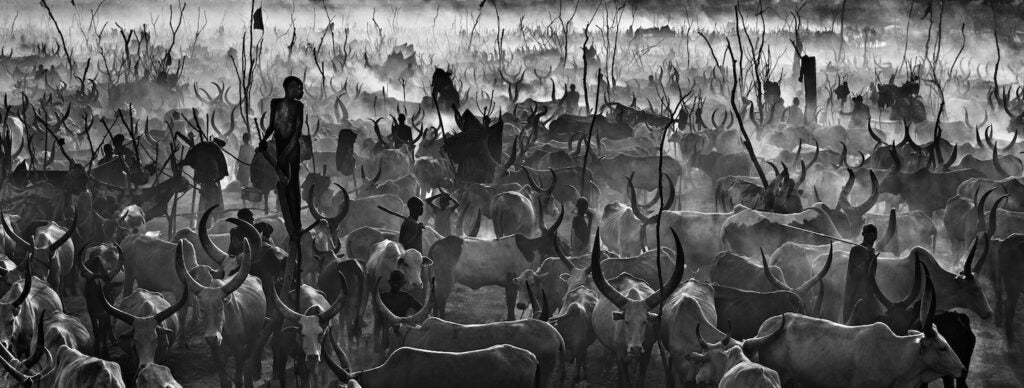 David Yarrow