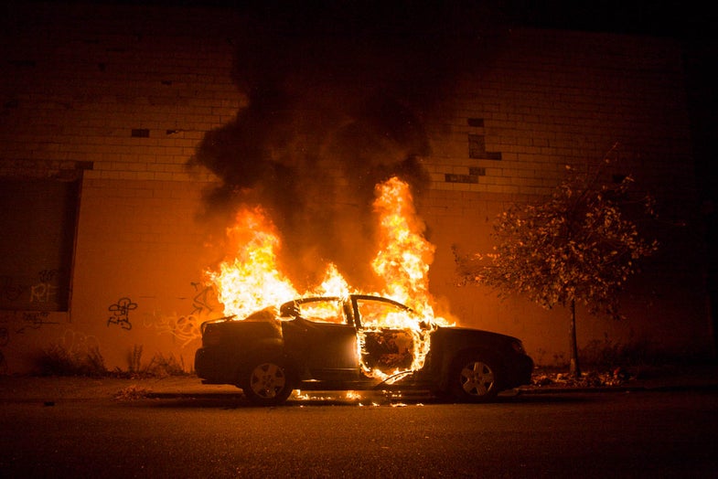 Tod Seelie’s Bright Nights