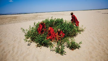 The Spirit of Travel: Justin Mott