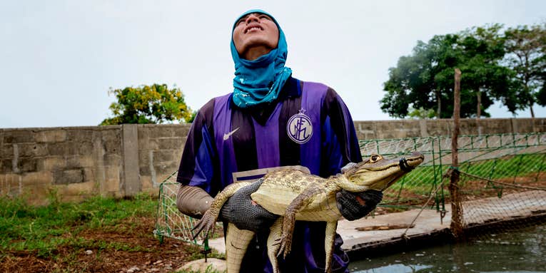 See the 2016 Pictures of the Year International Winners See the 2016 Pictures of the Year International Winners