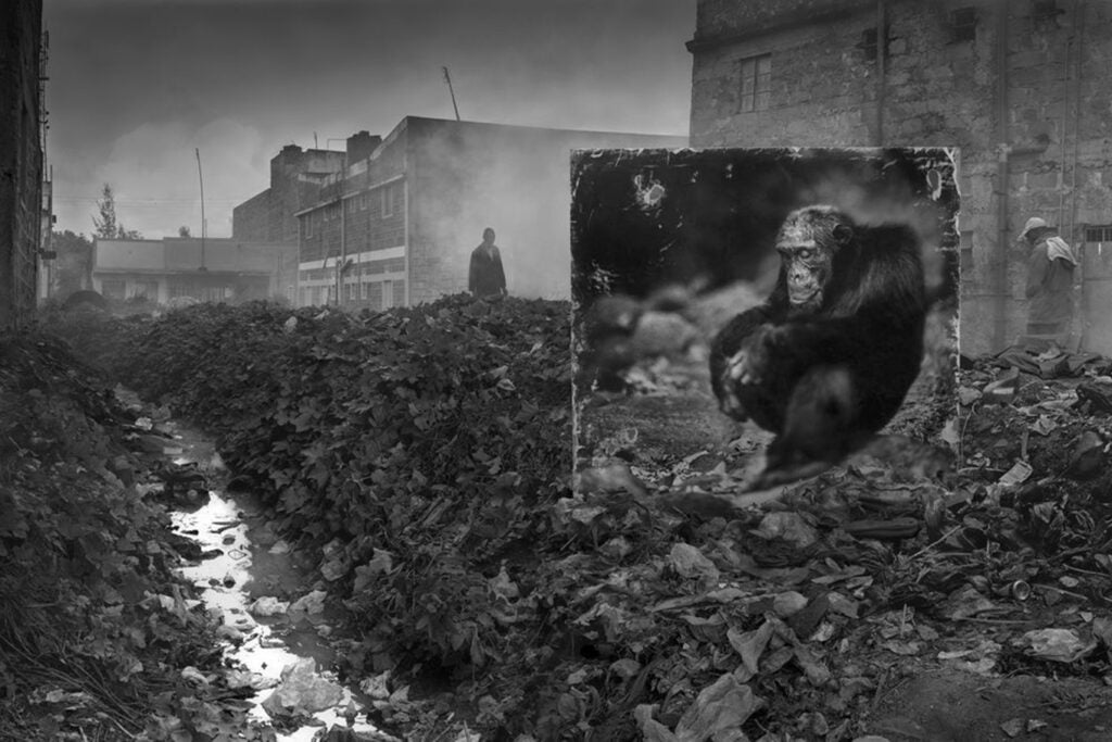 Â© Nick Brandt Courtesy of Edwynn Houk Gallery, New York