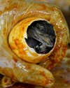 A worker shows a newly-hatched baby crocodile at a crocodile farm in Pasay city, Manila, Philippines. Romeo Ranoco is a Reuters staffer based in Manila, the Philippines. Check out more of his work on the <a href="http://blogs.reuters.com/romeo-ranoco">Reuters blog</a>.