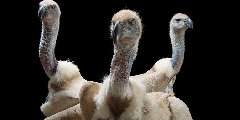 The Best Things We Saw at the FotoFest 2016 Biennial The Best Things We Saw at the FotoFest 2016 Biennial