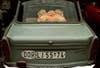 The rear window of a "Trabbi" (Trabant) car with a decorative plastic cushion. East Germany, 1974.