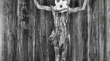 Video & Interview: Roger Ballen's Asylum of the Birds