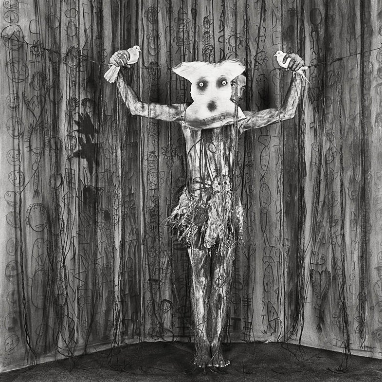 Video & Interview: Roger Ballen’s Asylum of the Birds