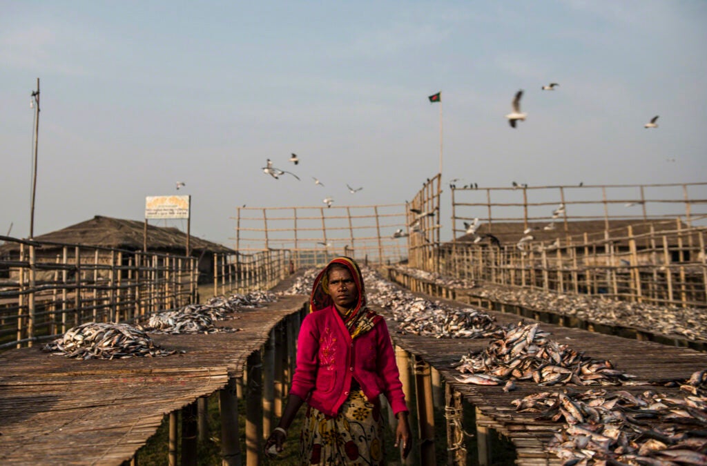 Lynsey Addario