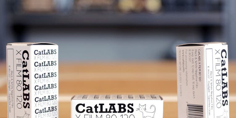 CatLABS FILM 80 is a new black and white medium format film